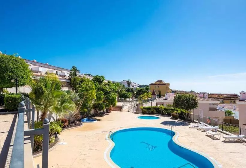 Modern Bright And Welcoming Ocean View Apartment