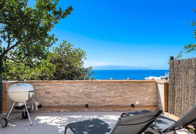 Modern Bright And Welcoming Ocean View Apartment