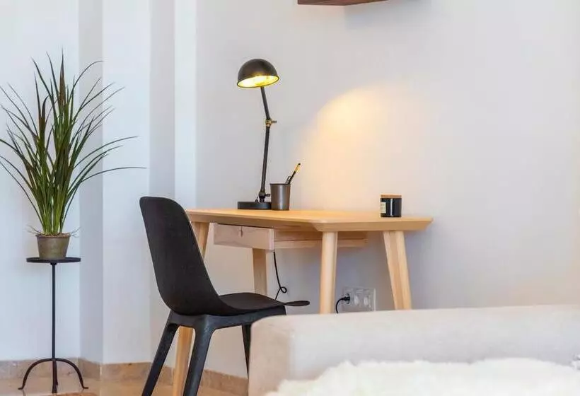 Modern Bright And Welcoming Ocean View Apartment