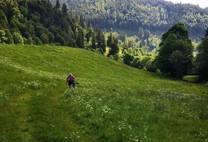 Schwalbennest   A69066