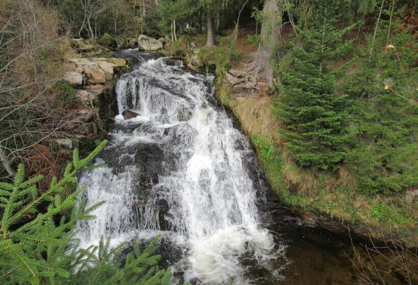 Schwalbennest   A69066