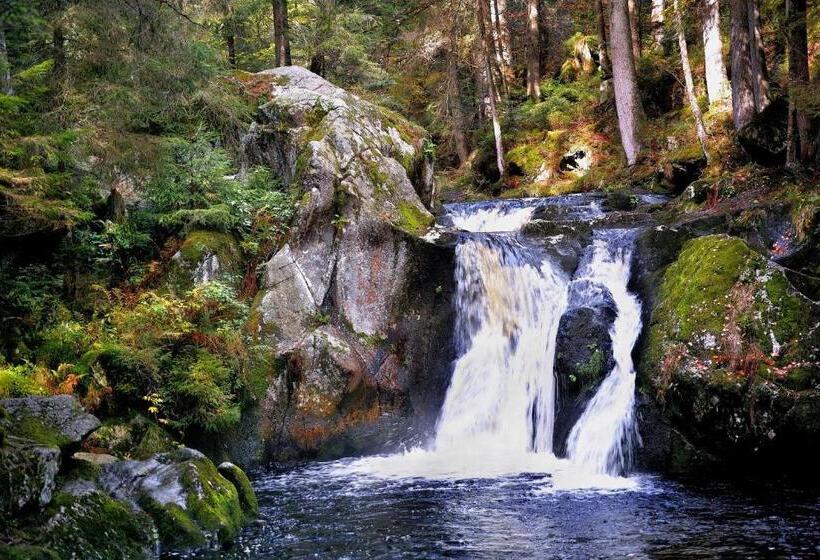 Schwalbennest   A69066