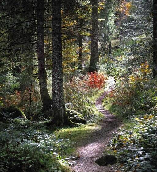 Schwalbennest   A69066