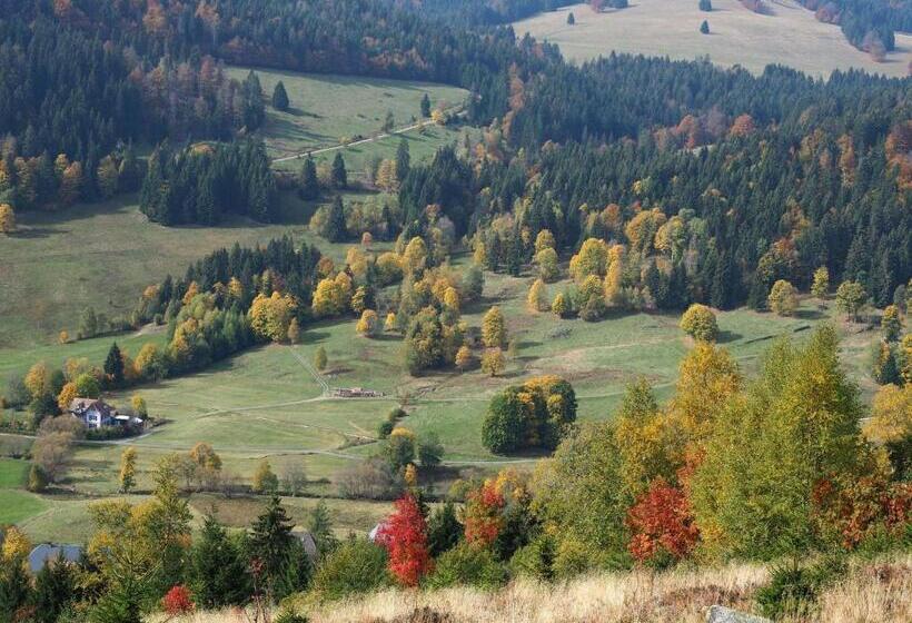 Schwalbennest   A69066