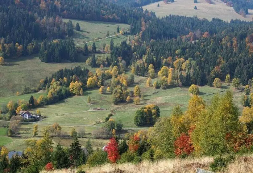 Schwalbennest A69066