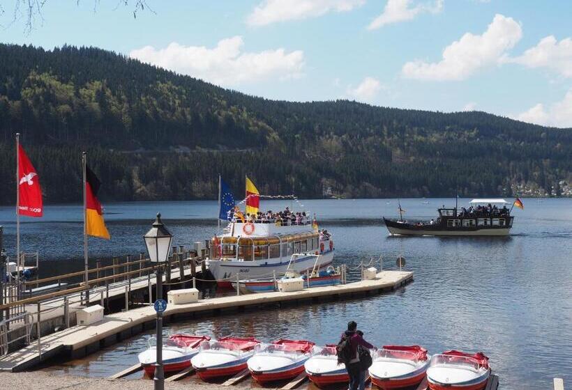 Schwalbennest   A69066