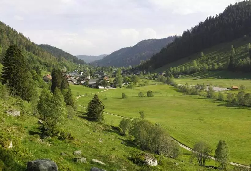 Schwalbennest A69066