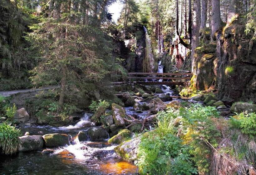 Schwalbennest   A69066