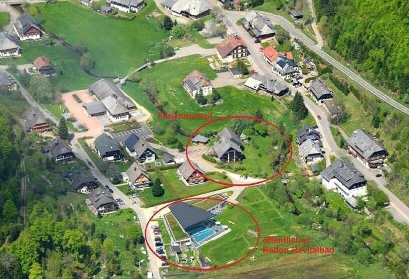 Schwalbennest   A69066