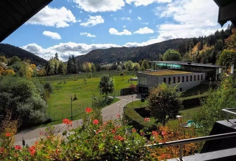 Schwalbennest A69066