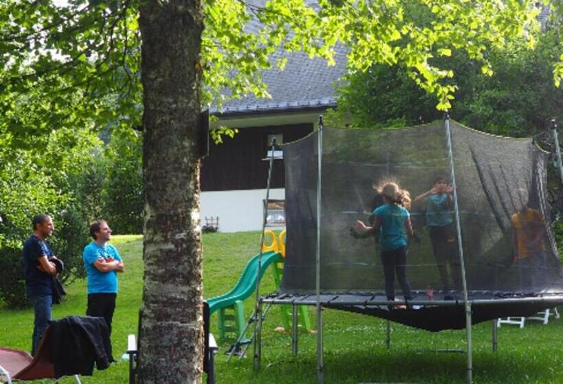 Schwalbennest   A69066