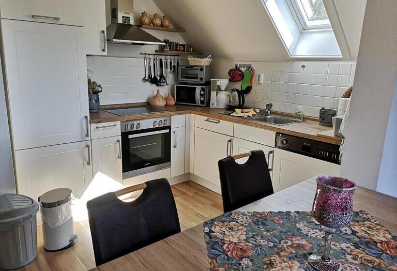 Schwalbennest   A69066