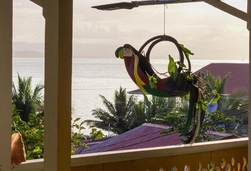 Auberge Hôtelière Bastimentos Hill Guest House