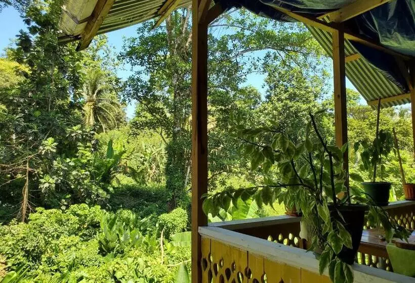 هاستل Bastimentos Hill Guest House