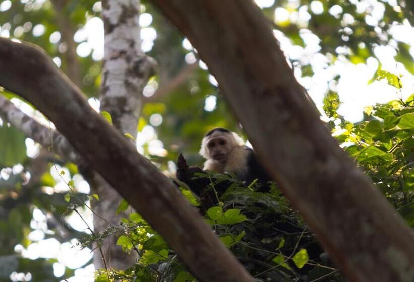 Auberge Hôtelière Bastimentos Hill Guest House