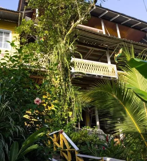 هاستل Bastimentos Hill Guest House