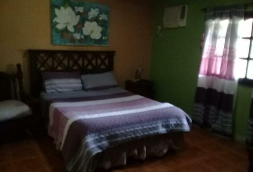 تختخواب و صبحانه óga Rory