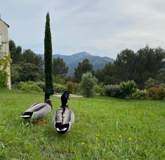 ベッドアンドブレックファースト La Maison Perchée