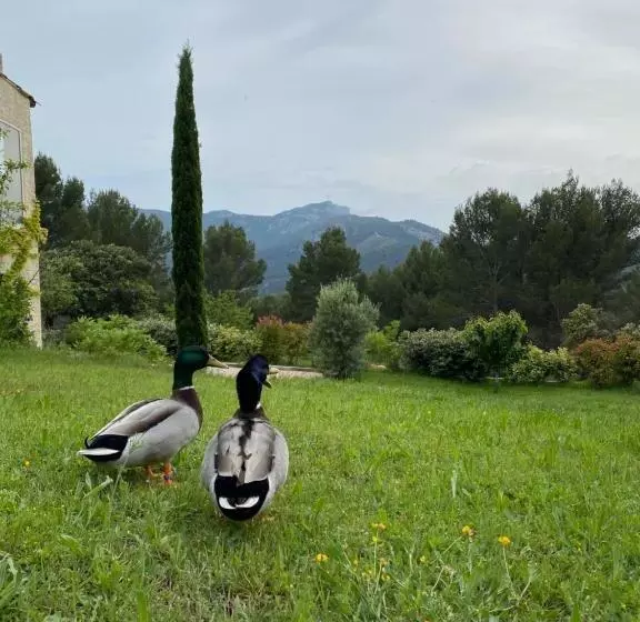 Aamiaismajoitus (B&B) La Maison Perchée