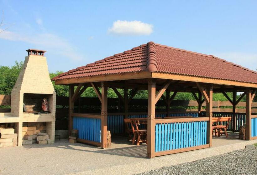 Camere De Inchiriat Baltenii De Sus