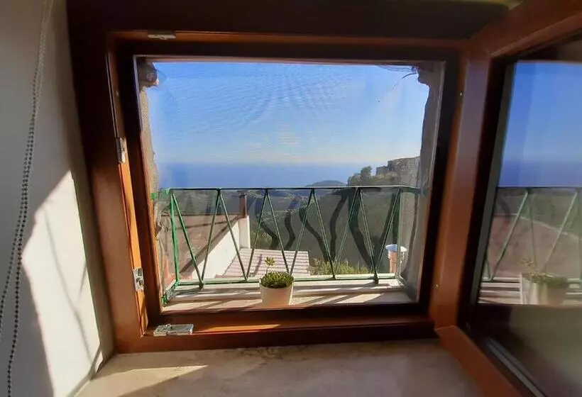 Carmineholidayhouse