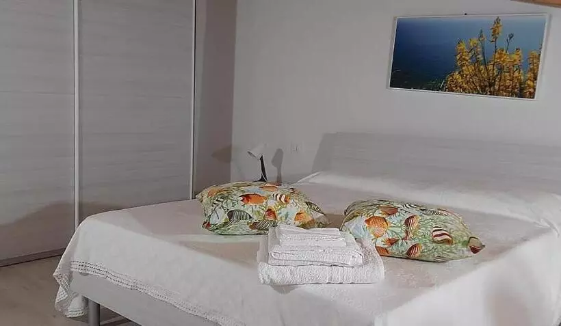 Carmineholidayhouse