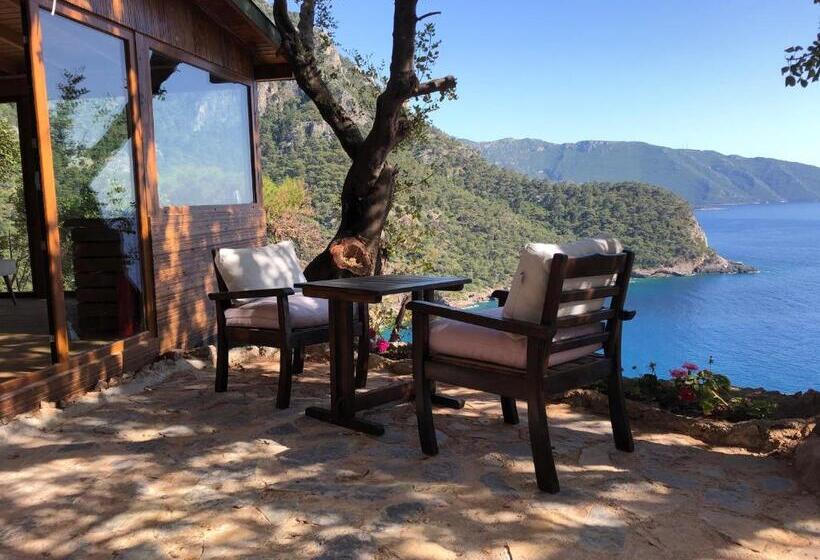 בית מלון כפרי Kabak ütopya Suites