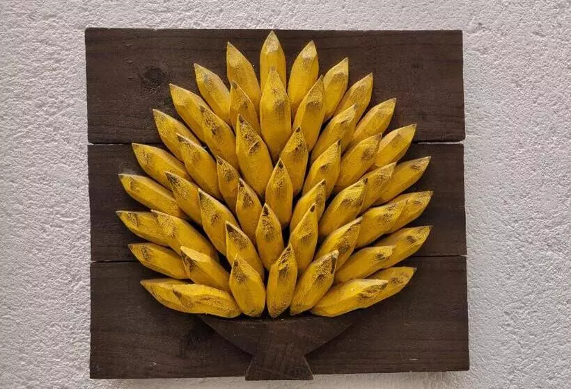 Majatalo Nossa Casa Caraíva   A Melhor Localização Da Vila