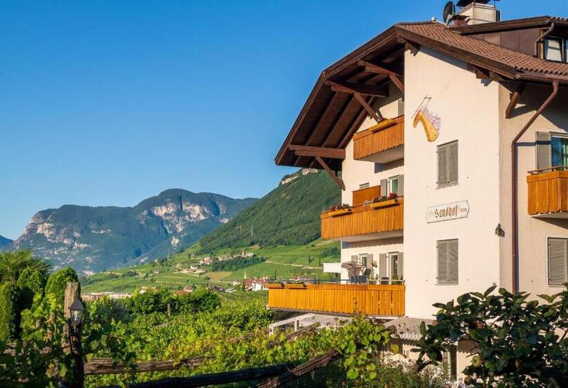 酒店 Sandhof Ferienwohnungen