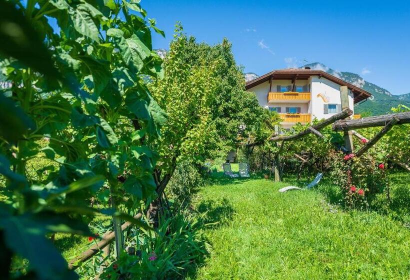 酒店 Sandhof Ferienwohnungen