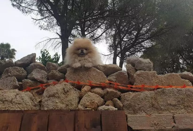 Maravillosa Casa Con Piscina Grande Y Bosque