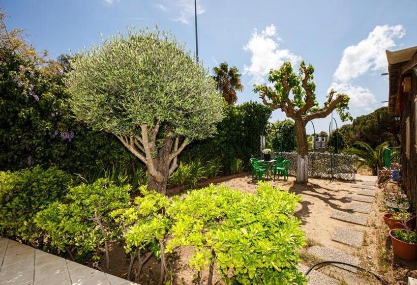 Maravillosa Casa Con Piscina Grande Y Bosque