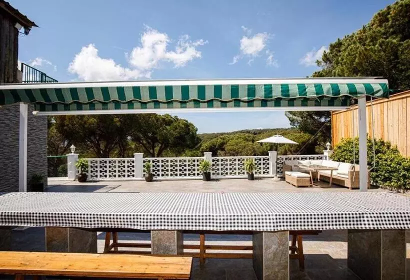 Maravillosa Casa Con Piscina Grande Y Bosque