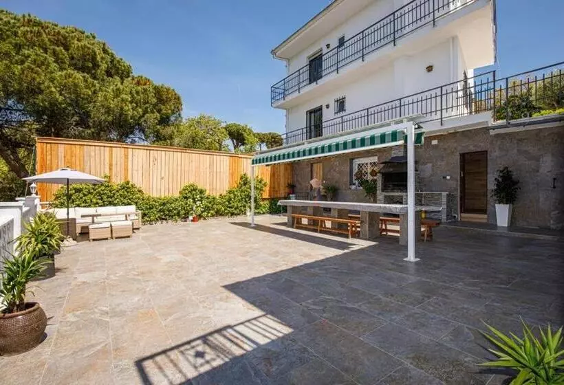 Maravillosa Casa Con Piscina Grande Y Bosque