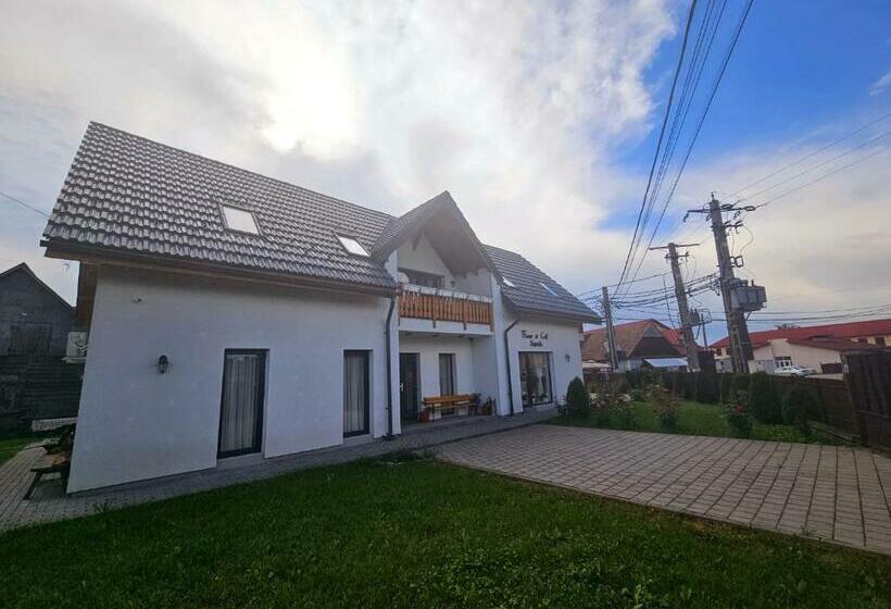 Pensão Floare De Colt Sapanta