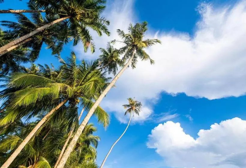 Lomakeskus Tailana Island Pulau Banyak