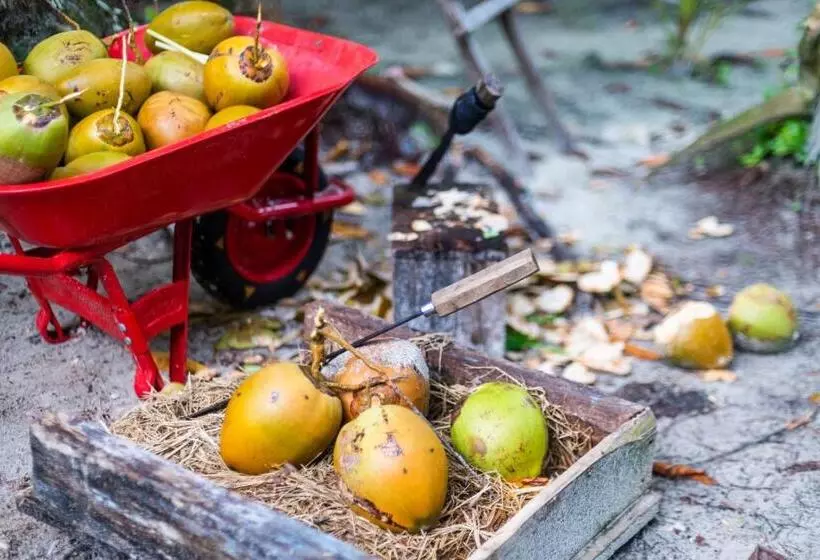 Lomakeskus Tailana Island Pulau Banyak