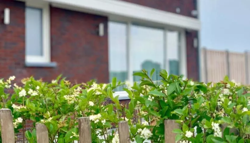 Groede B&b