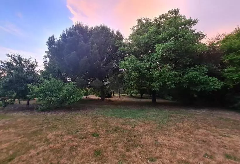 La Maison Des Grands Bambous   L Angoumois L Aunis La Saintonge La Boutonne