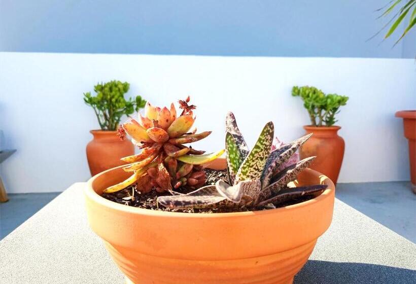 Mf Terceira   Villa With Terrace & Ocean Views