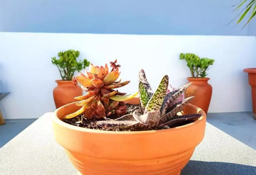 Mf Terceira   Villa With Terrace & Ocean Views