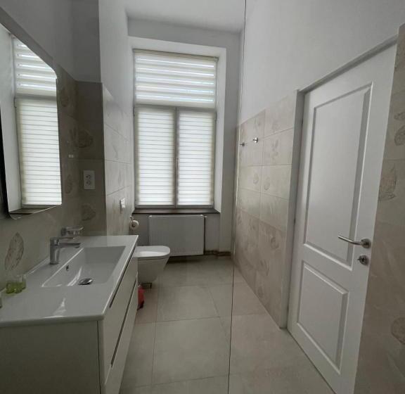 پانسیون Resedinta Cina