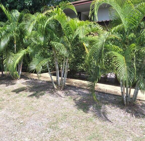 Hospedaria Airee Mini House