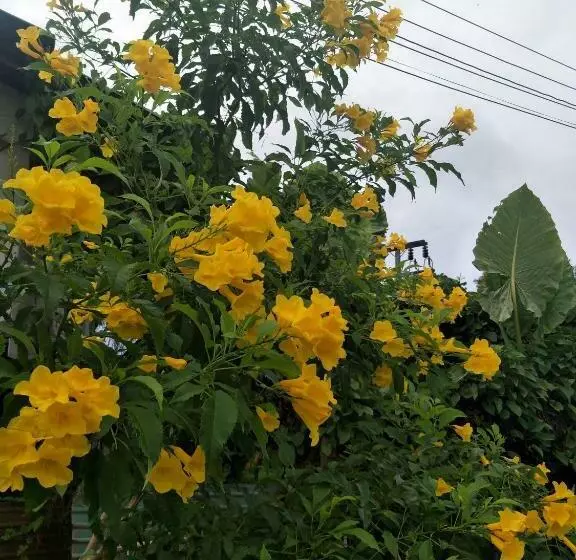 Retkeilymaja Airee Mini House