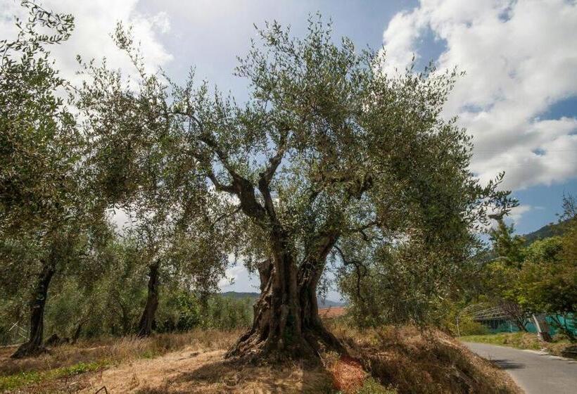 צימר La Cicala Stonata