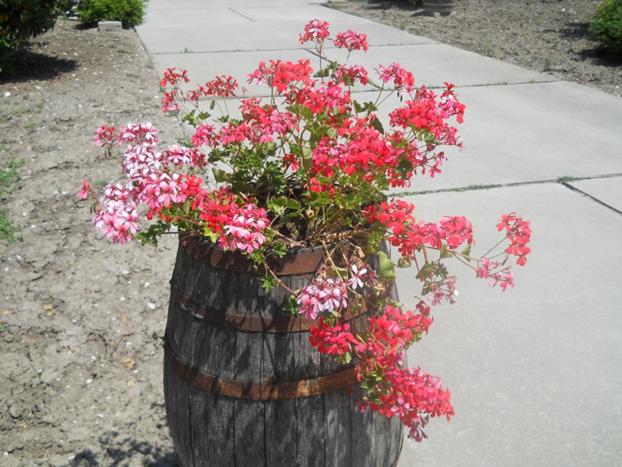 Bed and Breakfast La Dolce Sosta