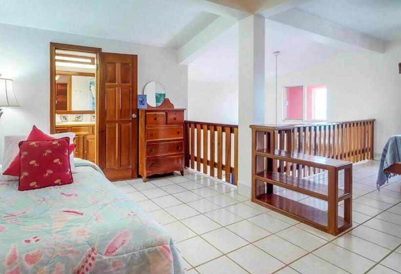 호텔 Cacao @ Caribe Island