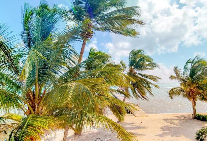 호텔 Cacao @ Caribe Island