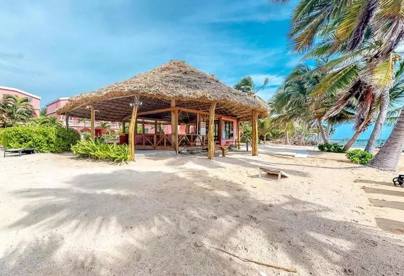 ホテル Cacao @ Caribe Island
