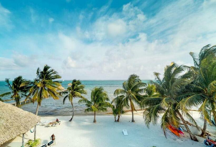 هتل Caribbean Lily @ Caribe Island